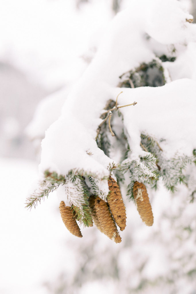 winter wedding in moutains